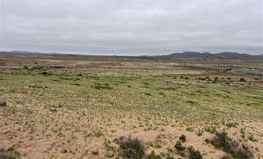 Agrícola en Venta en Ex estancia Délano, Ruta 5 KM 700, Vallenar, Atacama