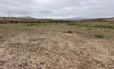 Agrícola en Venta en Ex estancia Délano, Ruta 5 KM 700, Vallenar, Atacama