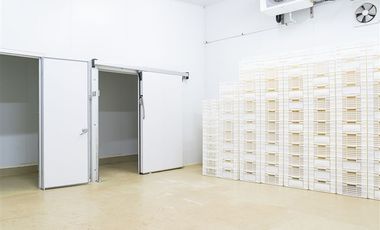 Local Comercial en Arriendo en Melefquen