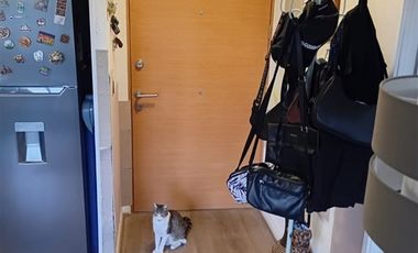 Departamento en Arriendo en Las Encinas