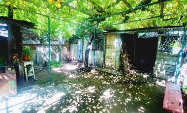 Terreno en venta ubicado en Blanqueado