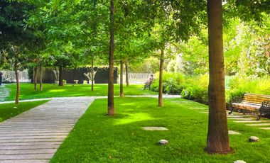 Departamento en arriendo c/ estacionamiento en Jardín Del Este