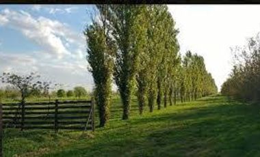 Venta Terreno  Haras de Funes Club de Campo