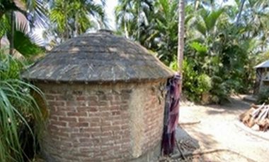 ACAPULCO DIAMANTE LA POZA TERRENO CON ALBERCA Y TEMAZCAL