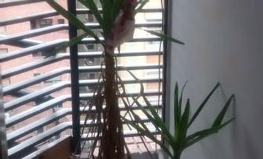 Alquiler excelente zona NVA CBA 2 dormitorios