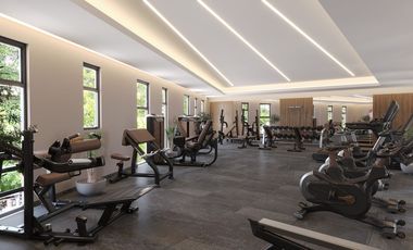 SPLENDOR COYOACAN División del Norte Pedro Ma Anaya Benito Juárez Ciudad de México