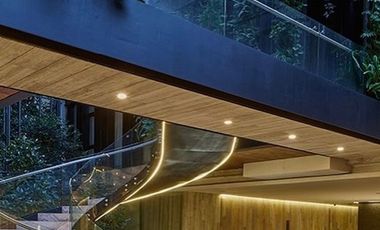 L THE LIMITED Rubén Darío Polanco Miguel Hidalgo Ciudad de México