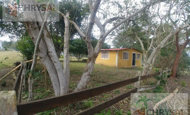 Terreno - Las Flores