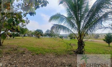 Terreno - Las Flores