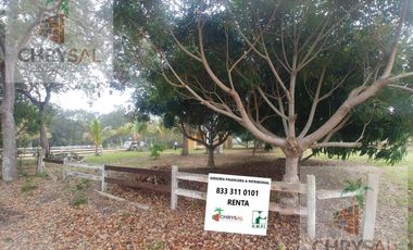 Terreno - Las Flores