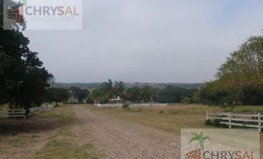 Terreno - Las Flores