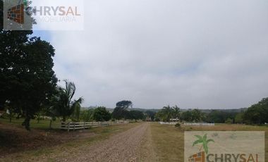 Terreno - Las Flores