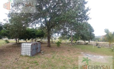 Terreno - Las Flores