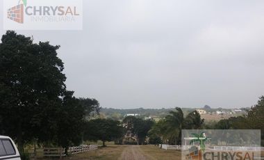 Terreno - Las Flores