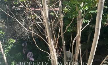 Arriendo Amplia casa Comercial  con gran terreno en el corazón de Ñuñoa