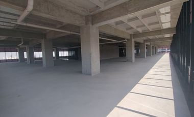 IB-EM2029 - Oficina en Renta en Interlomas, 958 m2.