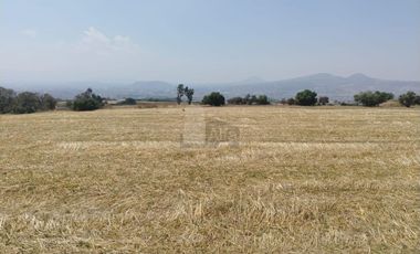 VENTA O RENTA DE TERRENO EN IXTAPALUCA INDUSTRIAL O COMERCIAL A PIE DE CARRETERA MEXICO - PUEBLA