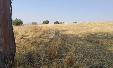 VENTA O RENTA DE TERRENO EN IXTAPALUCA INDUSTRIAL O COMERCIAL A PIE DE CARRETERA MEXICO - PUEBLA