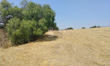 VENTA O RENTA DE TERRENO EN IXTAPALUCA INDUSTRIAL O COMERCIAL A PIE DE CARRETERA MEXICO - PUEBLA