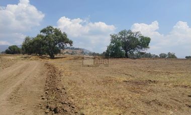 VENTA O RENTA DE TERRENO EN IXTAPALUCA INDUSTRIAL O COMERCIAL A PIE DE CARRETERA MEXICO - PUEBLA