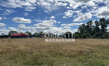 KM 12,5 OSORNO A PUERTO OCTAY