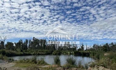 KM 12,5 OSORNO A PUERTO OCTAY