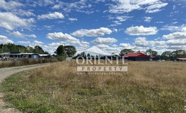 KM 12,5 OSORNO A PUERTO OCTAY