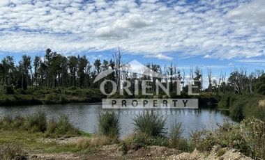 KM 12,5 OSORNO A PUERTO OCTAY