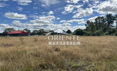 KM 12,5 OSORNO A PUERTO OCTAY