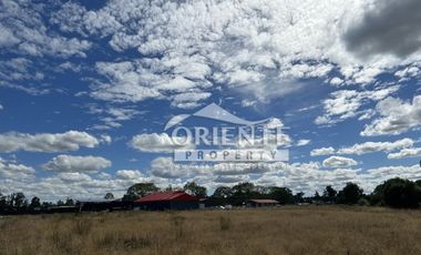 KM 12,5 OSORNO A PUERTO OCTAY