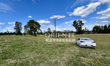 KM 12,5 OSORNO A PUERTO OCTAY