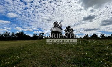 KM 12,5 OSORNO A PUERTO OCTAY