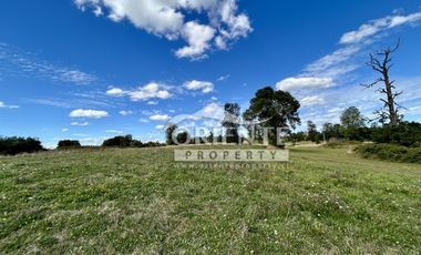 KM 12,5 OSORNO A PUERTO OCTAY