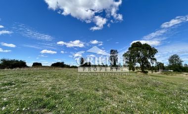 KM 12,5 OSORNO A PUERTO OCTAY