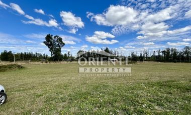 KM 12,5 OSORNO A PUERTO OCTAY