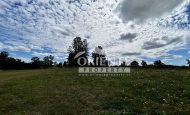 KM 12,5 OSORNO A PUERTO OCTAY