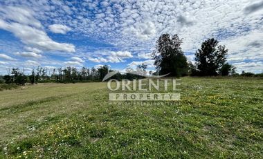 KM 12,5 OSORNO A PUERTO OCTAY