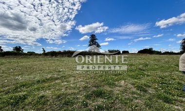 KM 12,5 OSORNO A PUERTO OCTAY