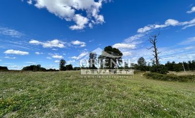 KM 12,5 OSORNO A PUERTO OCTAY