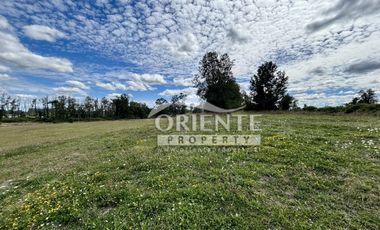 KM 12,5 OSORNO A PUERTO OCTAY