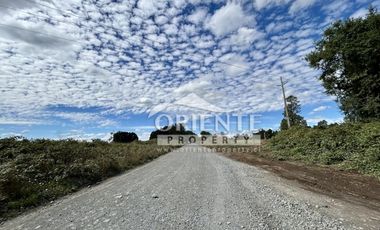 KM 12,5 OSORNO A PUERTO OCTAY