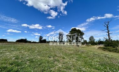 KM 12,5 OSORNO A PUERTO OCTAY