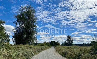 KM 12,5 OSORNO A PUERTO OCTAY