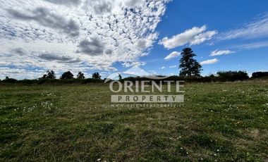 KM 12,5 OSORNO A PUERTO OCTAY