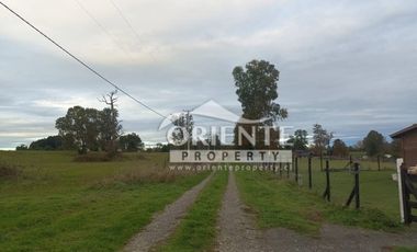 CAMINO DE OSORNO A PUERTO OCTAY KM 12