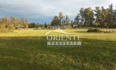 CAMINO DE OSORNO A PUERTO OCTAY KM 12