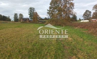 CAMINO DE OSORNO A PUERTO OCTAY KM 12