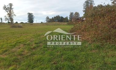 CAMINO DE OSORNO A PUERTO OCTAY KM 12