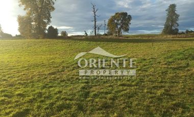 CAMINO DE OSORNO A PUERTO OCTAY KM 12