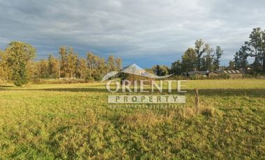 CAMINO DE OSORNO A PUERTO OCTAY KM 12